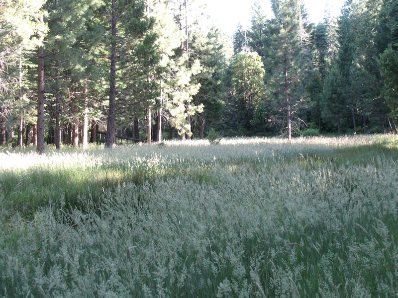 Walking across Big Flat