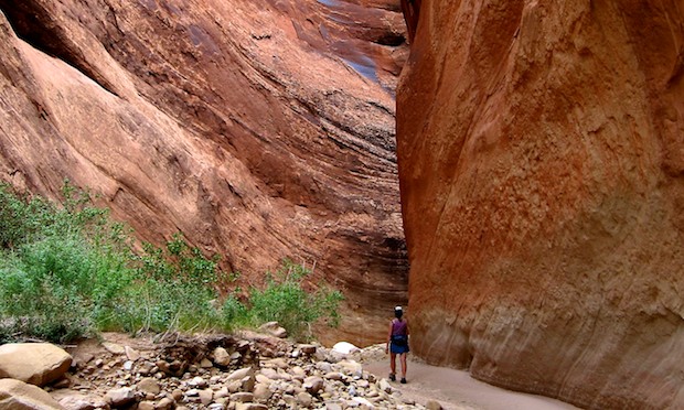 sinuous slot canyon