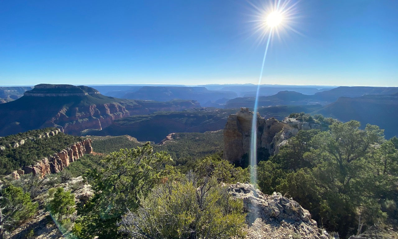 Sun over grand canyon forest