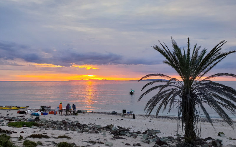 Dinner prep on a palm beach at sunset