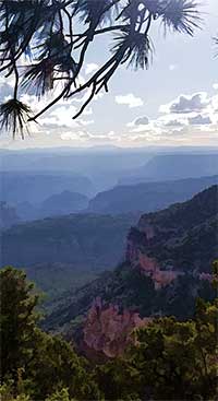 View into Grand Canyon